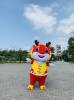 rong-do-mac-ao - ảnh nhỏ 2