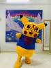 pikachu-3 - ảnh nhỏ 2