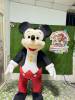 mickey-nam - ảnh nhỏ  1