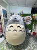 totoro - ảnh nhỏ 2