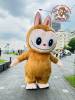 mascot-hoi-labubu-nau - ảnh nhỏ  1