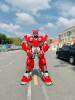 bumblebee-do-tuoi - ảnh nhỏ 2