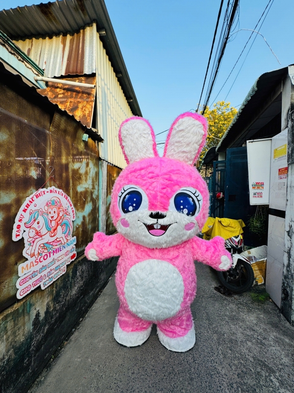 THỎ MẮT NƯỚC HỒNG ĐẬM