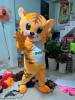be-ho-thuong-hieu-baby-tiger - ảnh nhỏ  1