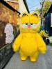 meo-garfield - ảnh nhỏ  1