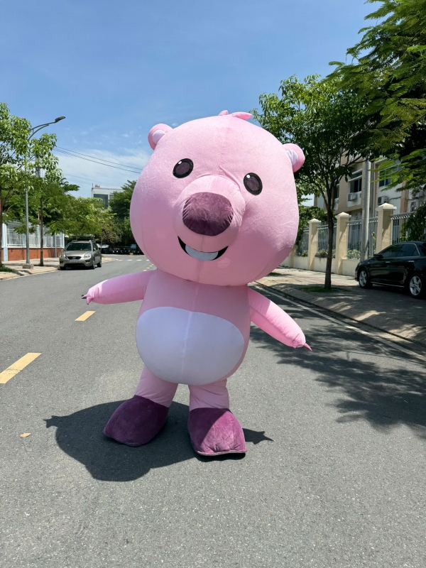 LOPPY HỒNG
