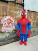 spider-man - ảnh nhỏ  1