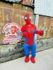 spider-man - ảnh nhỏ 2