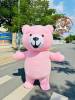 gau-teddy-hong - ảnh nhỏ 3
