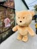 gau-teddy-nau-sang - ảnh nhỏ  1