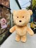 gau-teddy-nau-sang - ảnh nhỏ 3