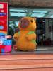 capybara-deo-balo - ảnh nhỏ  1