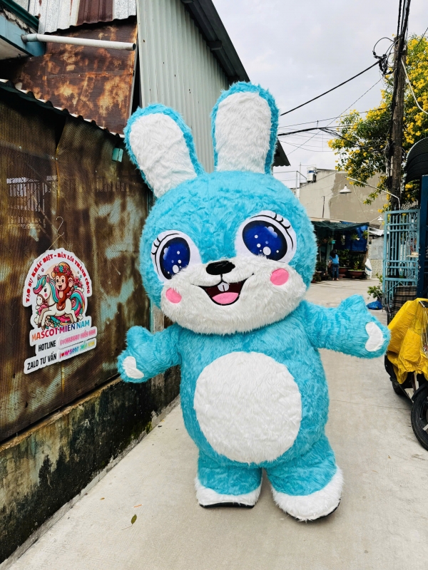 THỎ XANH MẮT NƯỚC