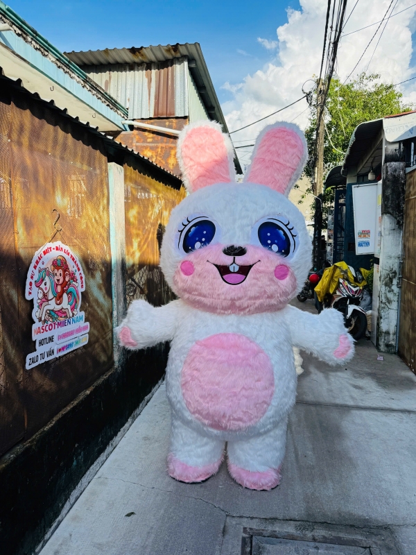 THỎ TRẮNG MẮT NƯỚC