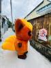pokemon-vang-nau - ảnh nhỏ 2