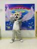 meo-tom - ảnh nhỏ 2